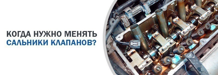 Сальник клапанов акцент тагаз